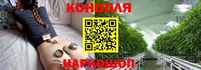 spice Кинель
