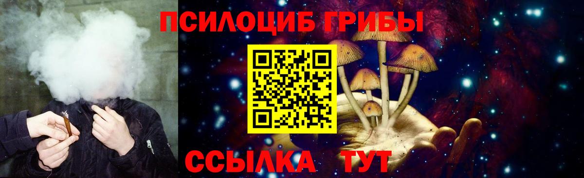 Кинель  Псилоцибиновые грибы Psilocybe  магазин продажи   Вход с VPN 